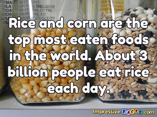 Rice and corn are the top most eaten foods in the world.
