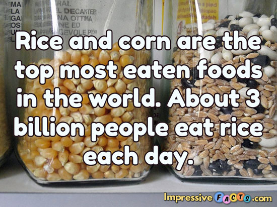 Most eaten food discount in the world