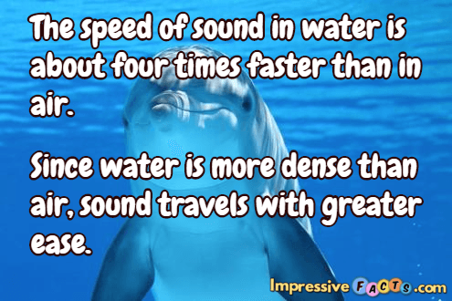 The speed of sound in water is about four times faster than in air.