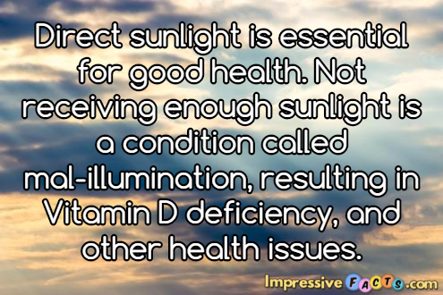 Direct sunlight is essential for good health.