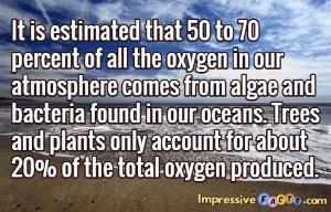 It is estimated that 50 to 70 percent of all the oxygen in our atmosphere comes from algae and bacteria found in our oceans.