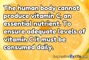 The human body cannot produce vitamin C, an essential nutrient.