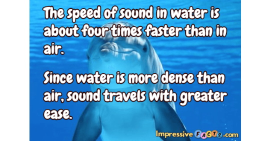 The speed of sound in water is about four times faster ...